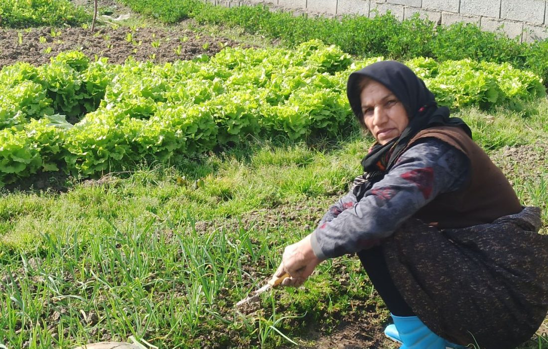 نگاهی بر توانمندی و چالش‌های زنان ۷ روستای فریدونکنار/۲۳۰۰ زن چشم انتظار حمایت مسئولان هستند