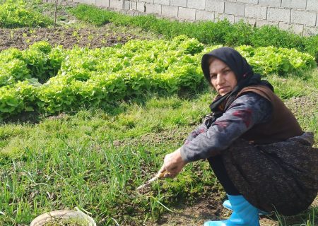 نگاهی بر توانمندی و چالش‌های زنان ۷ روستای فریدونکنار/۲۳۰۰ زن چشم انتظار حمایت مسئولان هستند