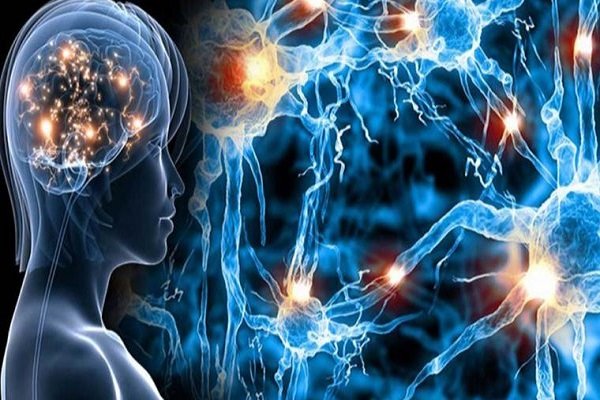 بیش از ۳ هزار بیمار مبتلا به «ام اس» در مازندران شناسایی شد