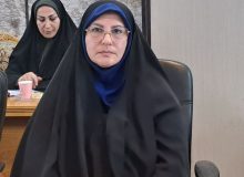 «بیمه خانواده ایرانی» طرحی موفق برای بیمه زنان خانه‌دار در فریدونکنار اجرا شد