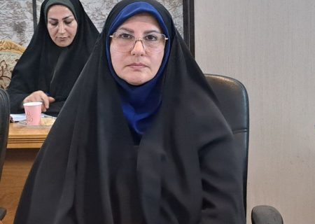 «بیمه خانواده ایرانی» طرحی موفق برای بیمه زنان خانه‌دار در فریدونکنار اجرا شد