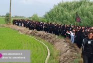 پیاده روی جاماندگان اربعین بانوان زینبی روستاهای فریدونکنار