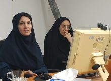پشه آئدس در کمین سلامت شهروندان فریدونکناری/ زنان باردار و کودکان در معرض تهدید هستند