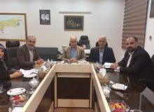 بانوی فریدونکناری عضو جدید شورای شهر شد